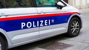 SRBIN POGINUO U AUSTRIJI U STRAVIČNOJ NESREĆI Vozio mali kamion, a onda se ovo pojavilo pred njim na auto-putu, usledio je horor