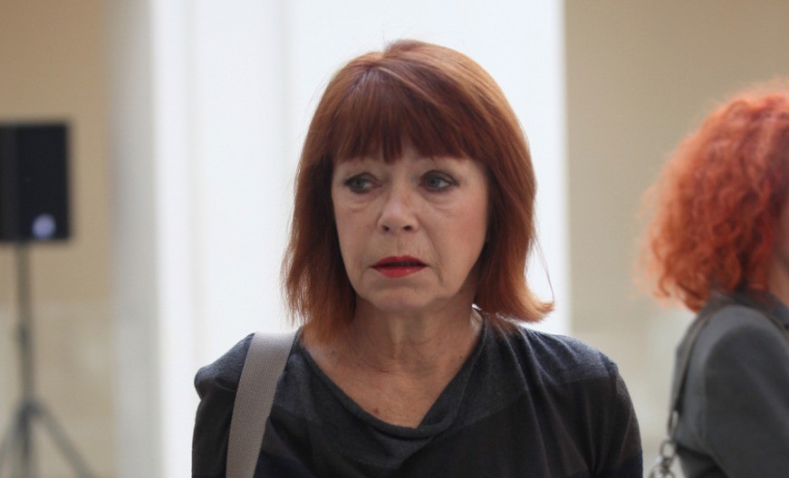 ZAŠTO NEDA ARNERIĆ NIJE MOGLA DA IMA DECU? Nakon mnogo godina otkrivena istina 