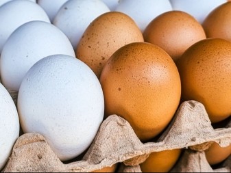 TRIK UZ KOJI ĆE BOJE BITI NIKAD LEPŠE Evo kako da najlakše izbelite jaja