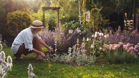 SREĐIVALA JE BAŠTU I NALETELA NA CRNU KUTIJU KOJA VIRI IZ TRAVNJAKA Odmah je pozvala policiju - saopštili su joj nešto JEZIVO 