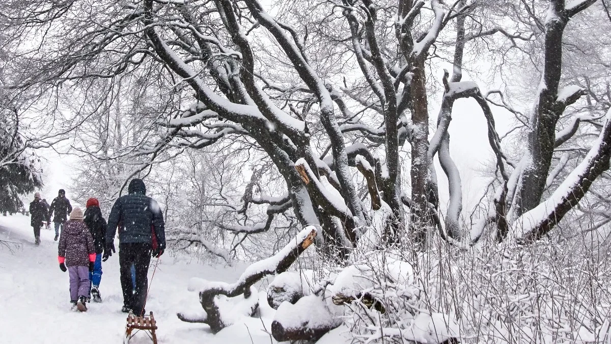 ALARMANTNO, STIŽE ZIMSKA OLUJA U REGION: Napadaće pola metra snega, obilne snežne padavine jure i ka Srbiji