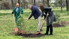 EKOLOŠKA INICIJATIVA Beogradski maraton i JKP Zelenilo posadili 10 novih sadnica na Novom Beogradu