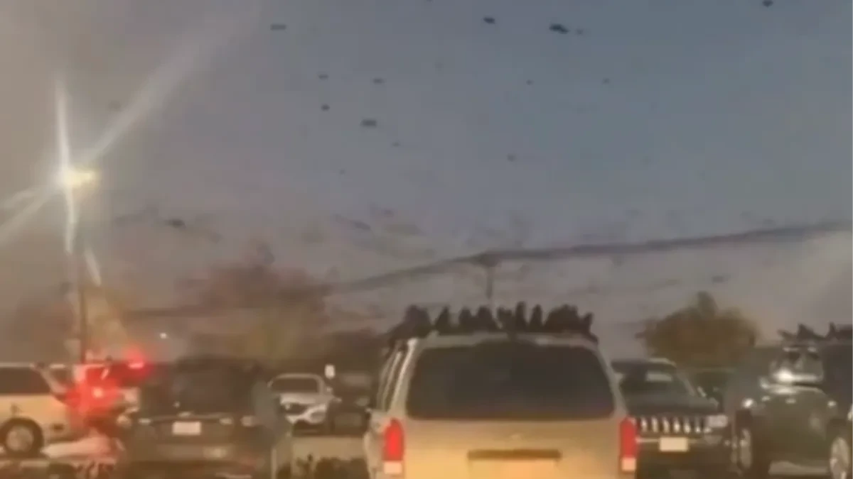 „OVO JE LOŠ ZNAK ZA CEO SVET!“ Dramatični snimci iz Izraela lede krv u žilama (VIDEO)