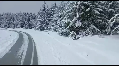 Preko 20 centimetara snega trenutno na Goliji: Zimske slike sa srpske planine, zabrana saobraćaja za teretnjake