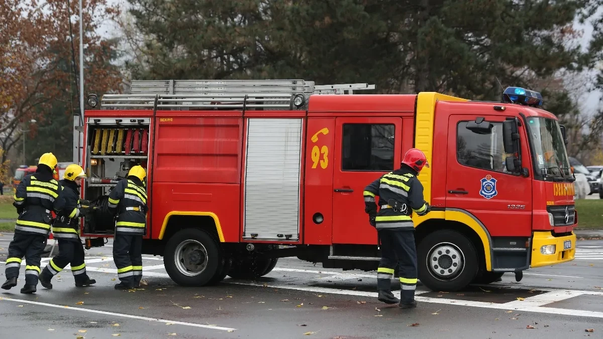 MUŠKARAC PAO SA PUPINOVOG MOSTA Detalji drame u Zemunu, angažovani i vatrogasci-spasioci