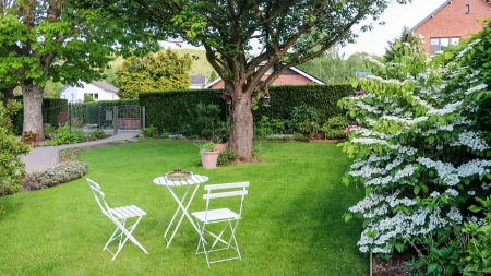 IMAĆETE SAVRŠEN TRAVNJAK SAMO AKO GA OVAKO NEGUJETE Ne pravite uobičajenu grešku koja oštećuje travu