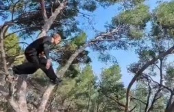 MAJKO MILA, DA LI JE OVO STVARNO? Čovek-majmun leti kroz krošnje kao da nije sa ovog sveta! (VIDEO)