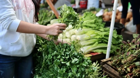 OVO JE NAJZDRAVIJE POVRĆE NA SVETU Kada saznate kako deluje na organizam - ješćete ga svaki dan