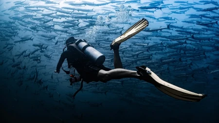 „OVO JE TEK POČETAK!“ Pronađena „zona smrti“ za brodove – ono što su izvukli iz mora LEDI KRV!