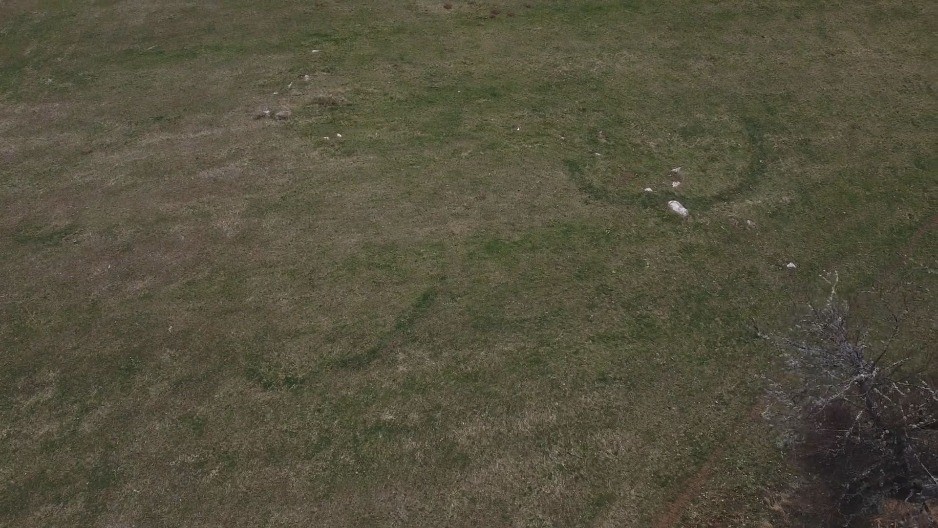 OVAJ MISTERIOZNI KRUG KOD KOSJERIĆA POJAVLJUJE SE SVAKOG PROLEĆA Narod veruje da vile tu igraju kolo