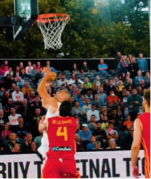 BOGOVI SU PALI NA TEME... Srbin izveo najbolji potez u istoriji basketa (VIDEO)