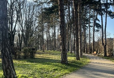 Dva najlepša parka u centru Čačka konačno dobijaju imena: Zvaće se po nikad zaboravljenim Sonji Savić i malenoj Milici Rakić