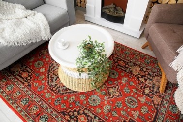 NOVAC ĆE SIPATI KAO KIŠA Držite ispod tepiha jednu sitnicu i sreća će se useliti u vaš dom