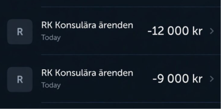 ŠVEDSKA VLADA NAPLAĆUJE SPAS Evakuacija avinom iz rata košta 50.000 kruna