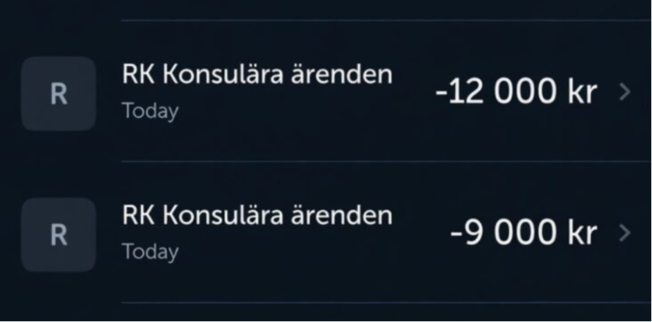 ŠVEDSKA VLADA NAPLAĆUJE SPAS Evakuacija avinom iz rata košta 50.000 kruna