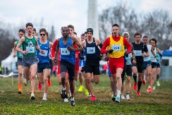 POČELA NOVA SEZONA BEOGRADSKOG MARATONA Ovo su pobednici Belog krosa