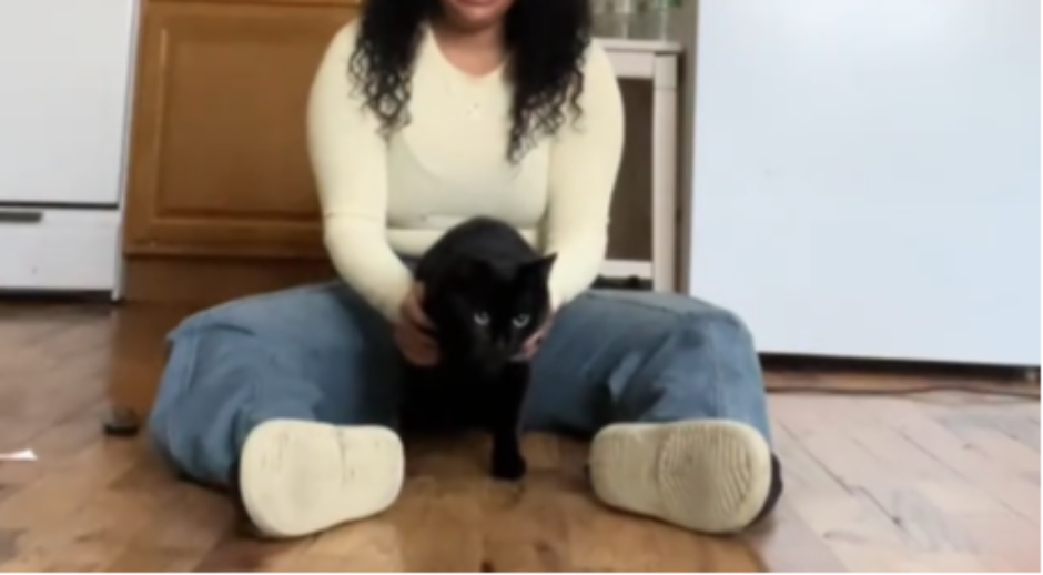 MA POGLEDAJTE SAMO OVU MAČKU Jednim potezom zapalila internet, ovaj video je oduševio preko 40 miliona ljudi