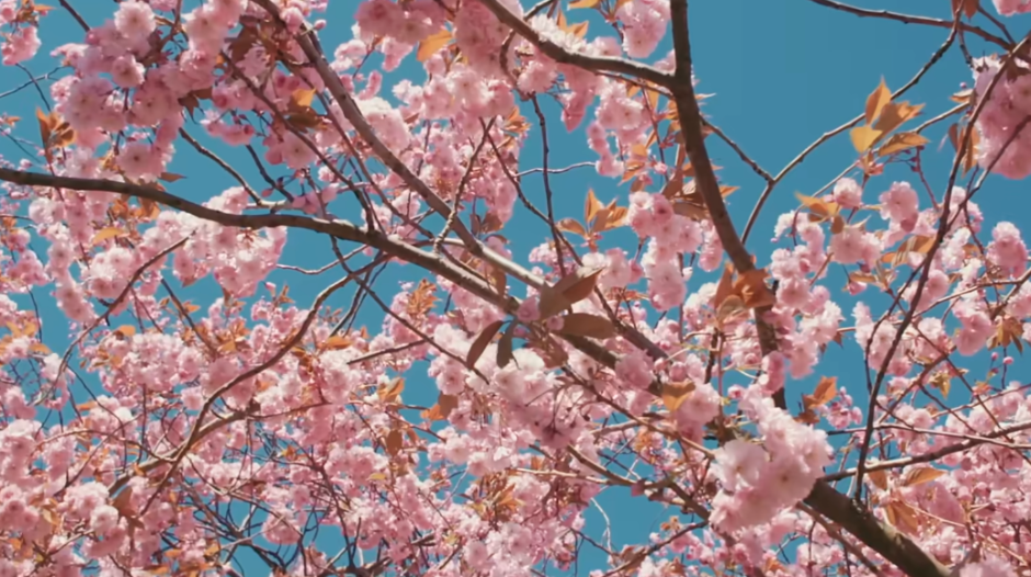 EVO KAKVO NAS VREME ČEKA DO KRAJA MESECA! Oglasio se meteorolog, zima nas napušta? 