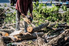 Ima 28 godina, troje dece i kredit, a zarađuje na zanimljiv način - prodaja ide ko luda