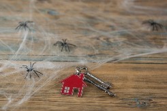 Moja komšinica stavi ovo u ćoškove i reši problem: Paukovi pobegnu, pa nema paučine!