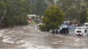 KROKODILI ''PRAKTIČNO SVUDA'', NA HILJADE LJUDI EVAKUISANO! Stravične poplave pogodile Australiju 