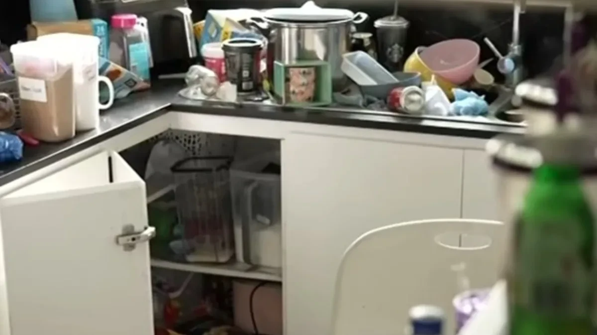 HOROR U LUKSUZNOJ VILI Podstanari ostavili pakao – čistači zatekli JEZIV PRIZOR! (VIDEO)