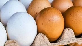 Baka Sokin trik za nikad belja jaja: Ovo radi svaka domaćica pred Uskrs