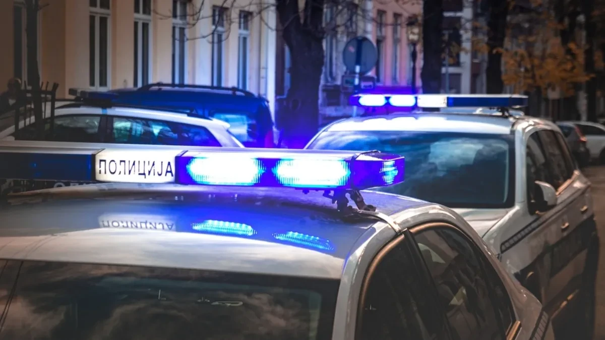 POSVAĐAO SE SA DEVOJKOM PA DEMOLIRAO LOKAL U RAKOVICI Upao u restoran sa satarom i napravio neviđeni haos