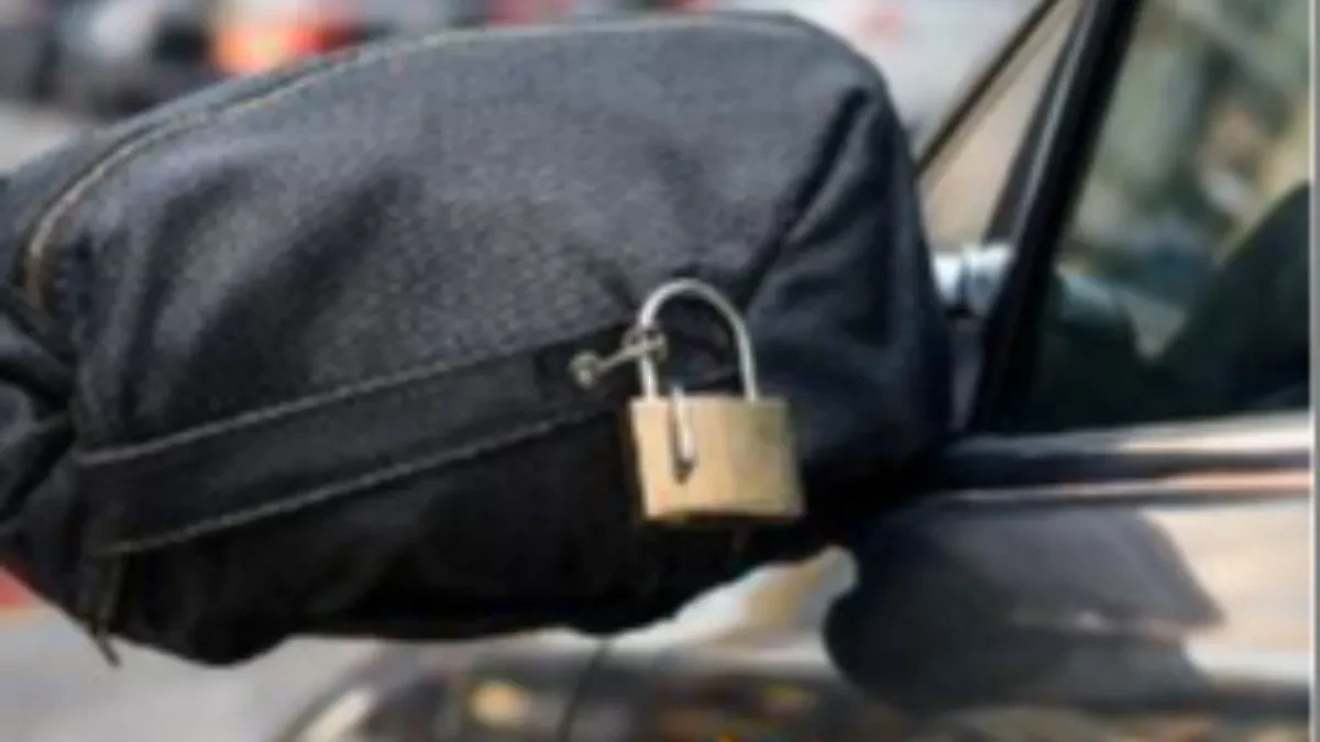 VOZAČI POLUDELI ZA NOVIM TRENDOM Umotavaju retrovizore u TORBICE od 170 evra, evo zbog čega svi to rade