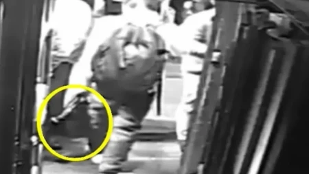 PLEN IZ SNOVA, KRAJ IZ NOĆNE MORE Ukrao torbicu, a unutra BLAGO vredno milione