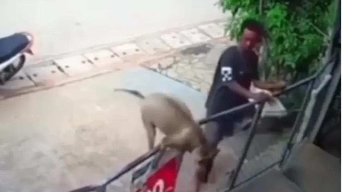 ZAKASNIO NA POSAO, ALI SE SNAŠAO Ljudi gledaju i plaču od smeha - pogledajte ovog psa u akciji