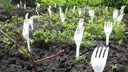 Ljudi masovno zabadaju viljuške u baštu: Tako reše veliki problem koji muči mnoge