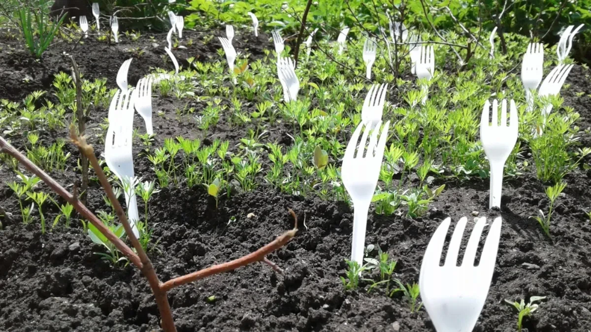 Ljudi masovno zabadaju viljuške u baštu: Tako reše veliki problem koji muči mnoge