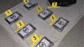 VELIKA AKCIJA U NOVOM SADU Diler uhapšen sa 6 KILA kokaina!