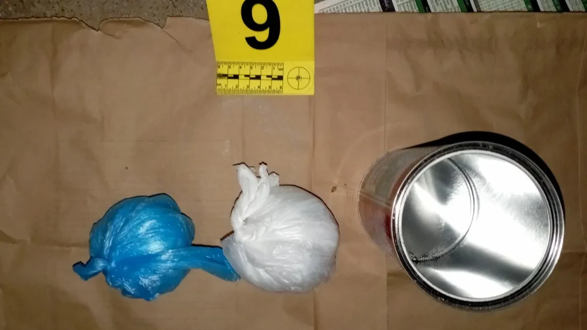 UHAPŠEN DILER U INĐIJI Policija mu pronašla kokain 