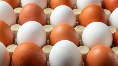 GREŠKA KOJU SVI PRAVE! Zbog ovoga jaja gube svežinu i postaju OPASNA PO ZDRAVLJE!