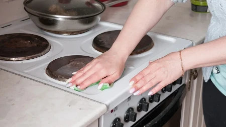 Ovo povrće riba šporet bolje od hemije! Trik koji je oduševio žene širom sveta