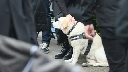 SRCE DA PUKNE Pas Duška Vujoševića na sahrani, legendarni trener joj je dao posebno ime