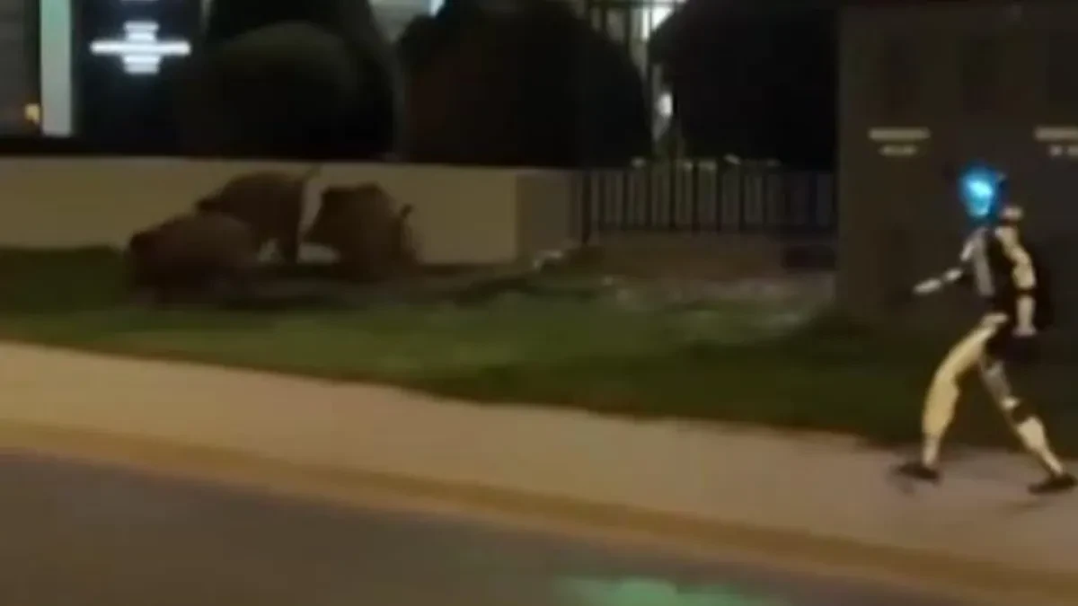 NAJPOZNATIJI ROBOT KOJI JURI DIVLJE SVINJE! Komične scene na ulicama glavnog grada EU! (VIDEO)