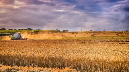 PRETI GLOBALNA KATASTROFA: Evo ko će pretrpeti najveće posledice
