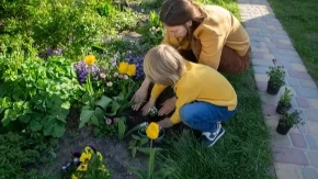 CVEĆE ĆE CVETATI KAO NIKAD DO SAD Ne preskačite ovaj korak, april je pravo vreme da uradite to