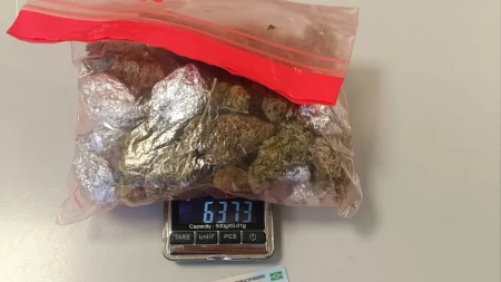 PAO DILER SA 19 KILA MARIHUANE! Uhapšen u Kikindi