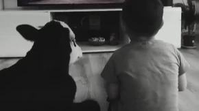 UGINULA JE FLEKICA, TELE KOJE JE OSVOJILO BALKAN! Živela kao član porodice, sa decom gledala crtane filmove!