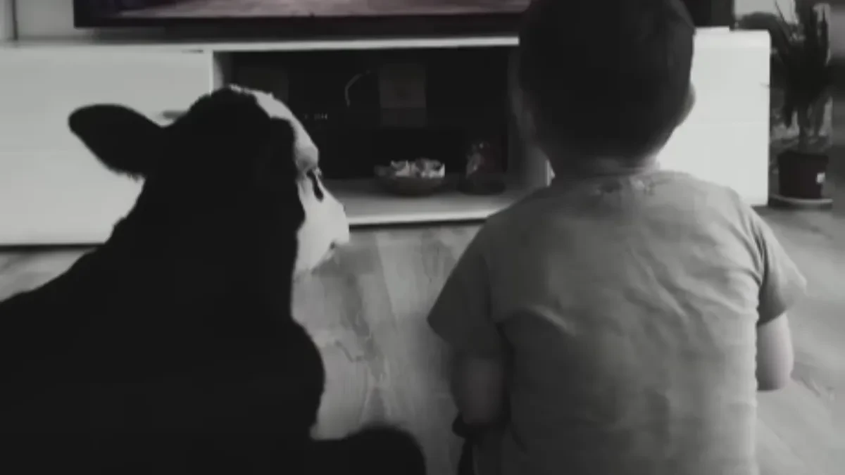 UGINULA JE FLEKICA, TELE KOJE JE OSVOJILO BALKAN! Živela kao član porodice, sa decom gledala crtane filmove!