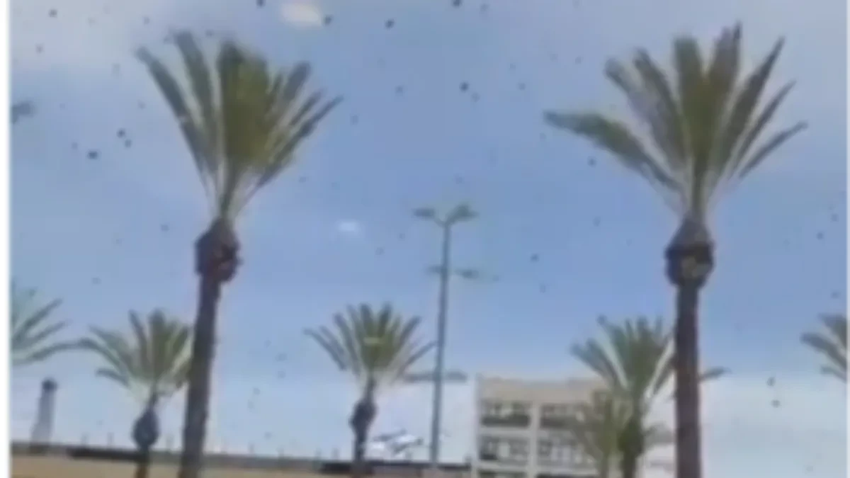 HOROR U IZRAELU! Desetine hiljada pčela okupiralo tržni centar – ljudi u panici! (VIDEO)