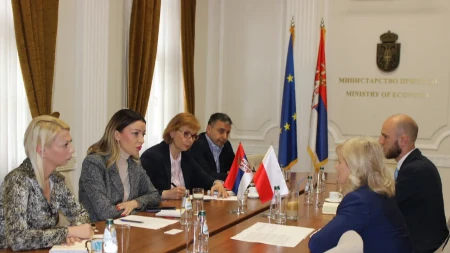 INTENZIVNI RAZGOVORI SA PREDSTAVNICIMA ZEMALJA EU Ministarka Mesarović traži rešenje za srpske profesionalne vozače