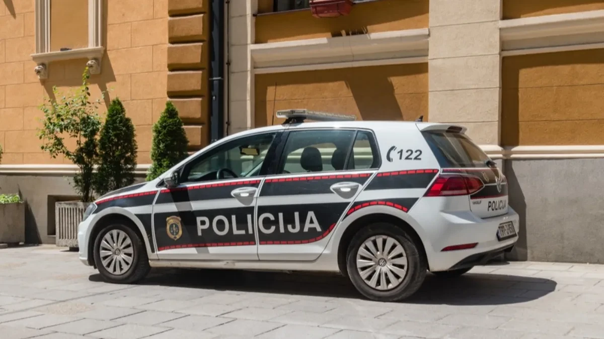 KRALI KABLOVE, PA ZAPALILI AUTO DA ZATAŠKAJU TRAGOVE Predložen pritvor dvojci muškaraca