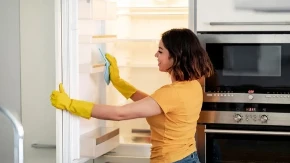 PUN JE BAKTERIJA, A NIKO GA NE ČISTI Ovo je NAJPRLJAVIJI deo frižidera