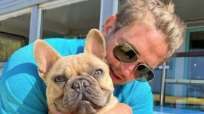 STOLAR BATALIO ZANAT KAD JE NJEGOV PAS POČEO DA ZARAĐUJE VIŠE OD NJEGA Buldog Ti-Džej postao prava internet senzacija, ljudi na mrežama ga OBOŽAVAJU (FOTO/VIDEO)