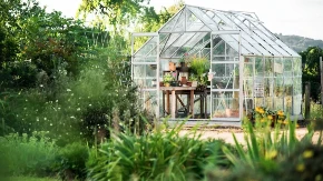 8 biljaka za koje bih volela da ih nikad u životu nisam posadila u baštu